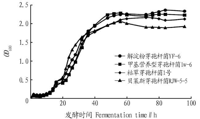 枯草芽孢杆菌1号、解淀粉芽孢杆菌YF-6等生长曲线阶段划分与观察