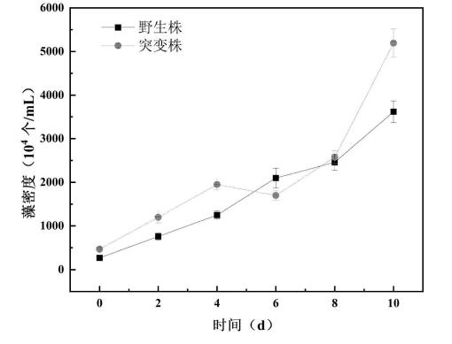 高效固碳优势微藻突变株应用于污水处理，去污效果好，成本低