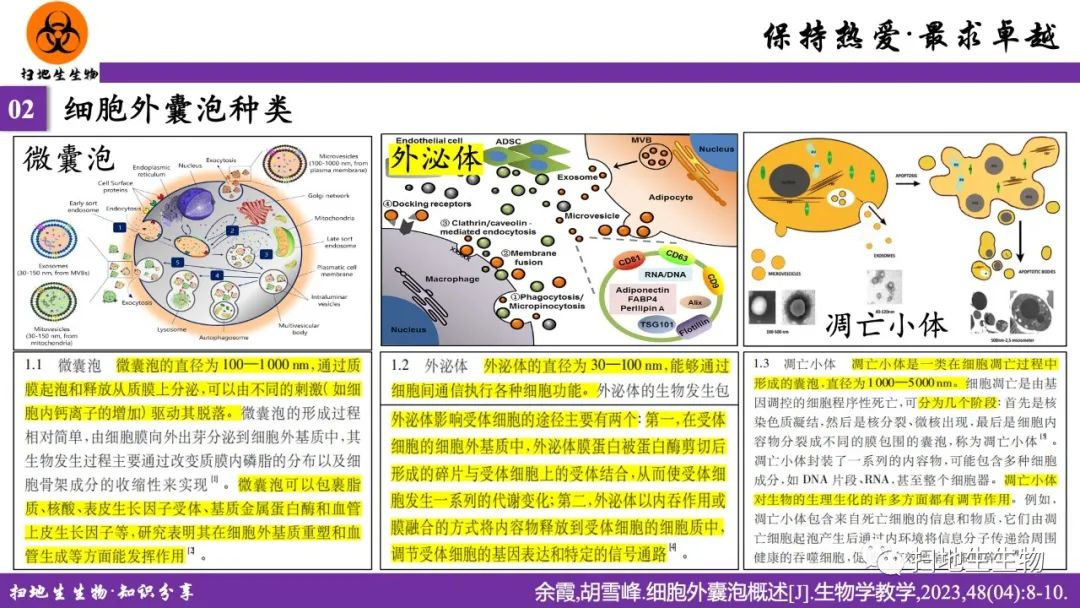 ?细菌外膜囊泡研究、种类及应用