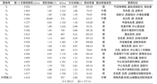 野生黑木耳N56菌株分离纯化、菌丝生长速率实验（一）