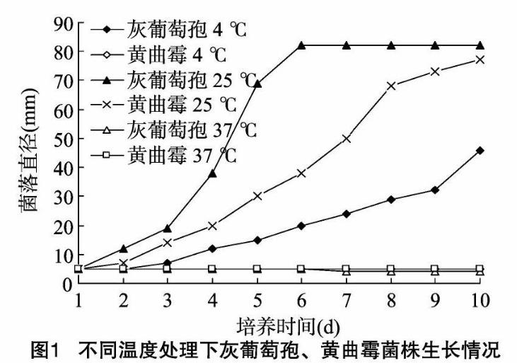 不同温度、pH值、光照及培养基对灰葡萄孢、黄曲霉菌株生长影响