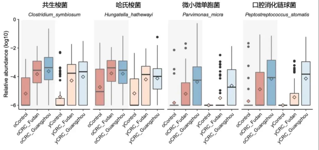 肠道粪便微生物与结直肠癌有何关联？