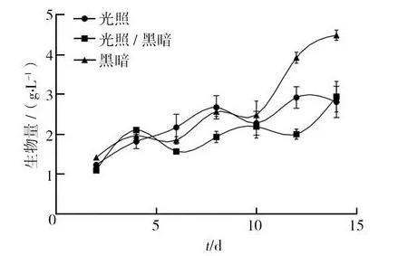 不同光照、pH条件对血红密孔菌培养过程中生物量、总抗氧化能力的影响（一）