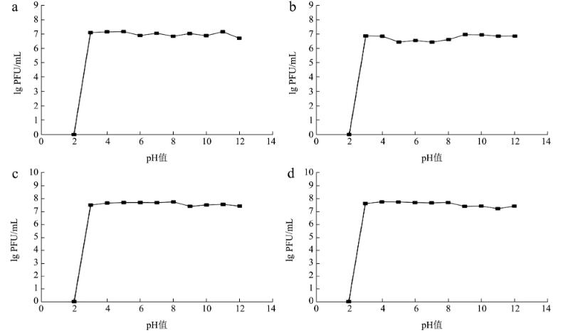 ?4株金黄色葡萄球菌噬菌体形态、生物学特性、生长曲线及基因组特征（二）