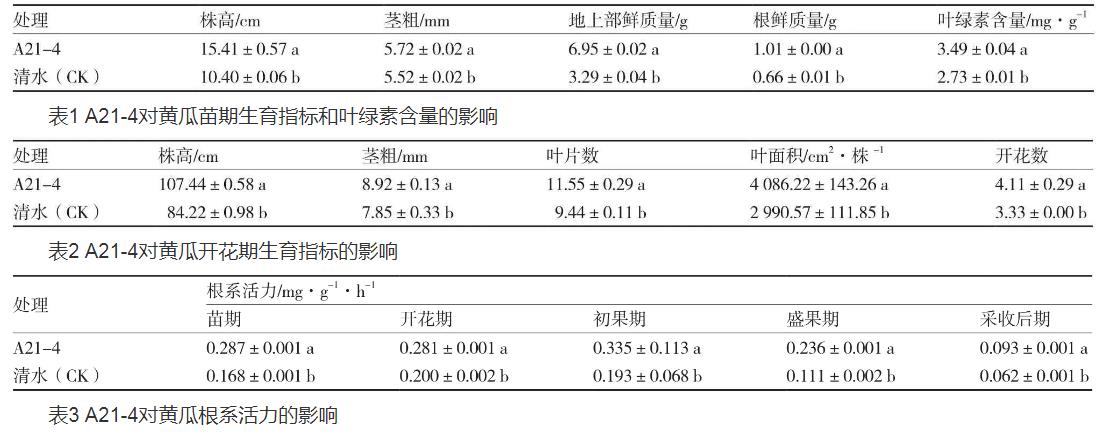 普城沙雷菌对黄瓜生长品质、根际土壤微生物数量的影响（一）
