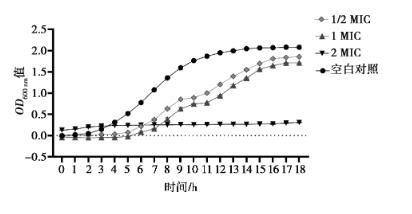 中药单体组合物绿原酸、黄芩苷、厚朴酚对大肠杆菌生长曲线的影响