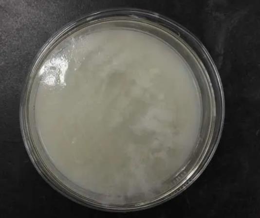 解磷微生物作用机制、应用及研究历史