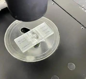 尿路感染患者尿常规检验时，如何对细菌计数？