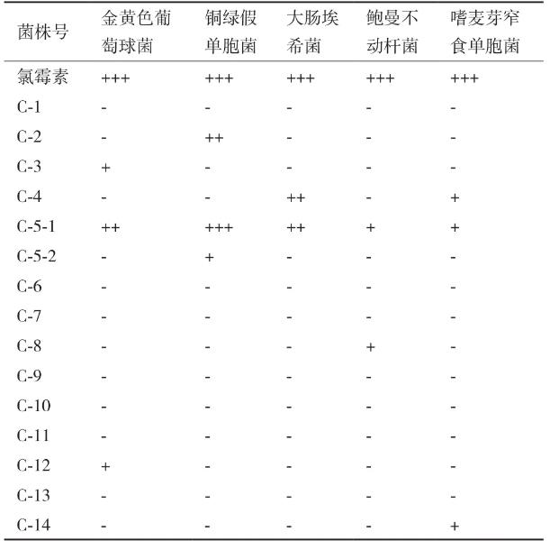 豨莶草果实内生细菌分离、鉴定、生长特性、抑菌效果及药敏分析（一）