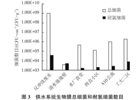 东北某市寒区湖库型主体水和生物膜中耐氯菌数目、再生长现象研究（二）