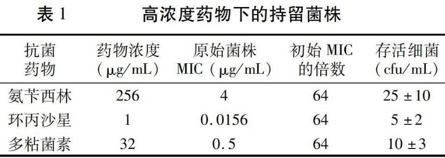 三种抗菌药物处理后持留菌株和抗药菌株生长曲线、优势的比较——摘要、材料与方法