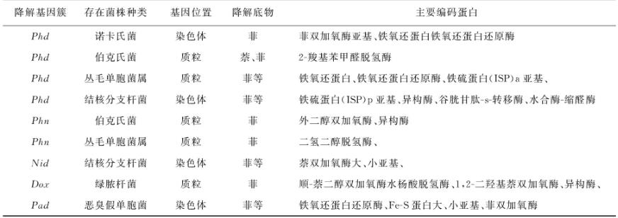 综述微生物修复菲污染中降解菌的菌属、降解机理、分子机制、影响因素（三）