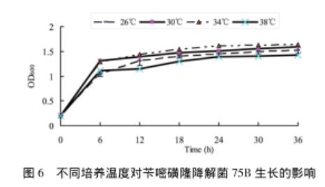 苄嘧磺隆降解菌株75B的生长曲线、生长及降解（二）