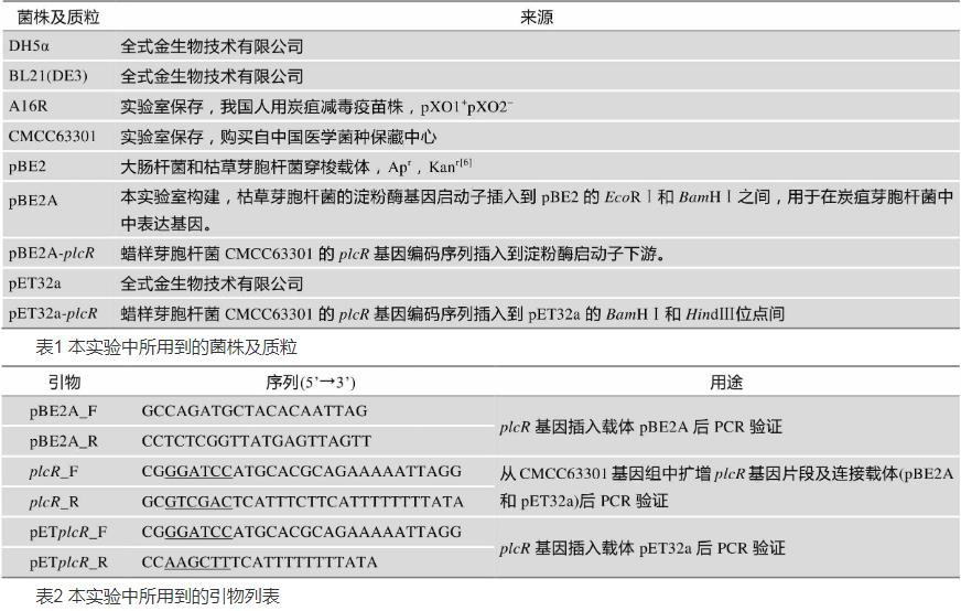 PlcR在炭疽芽胞杆菌A16R中对其生长状态、溶血酶活性及神经磷脂酶活性影响（一）