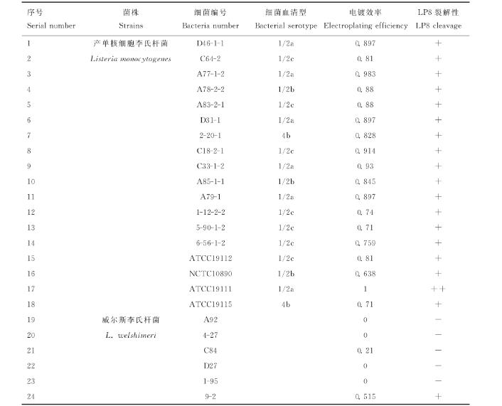 产单核细胞李氏杆菌噬菌体分离、超离、宿主谱鉴定及生长曲线绘制（二）