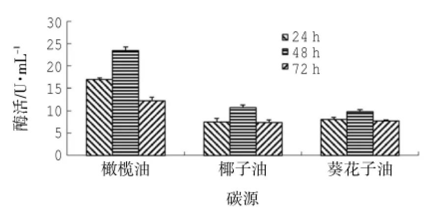 产脂肪酶地衣芽孢杆菌LD-1302筛选、培养基及产酶条件研究（三）