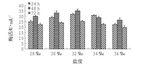 产脂肪酶地衣芽孢杆菌LD-1302筛选、培养基及产酶条件研究（五）