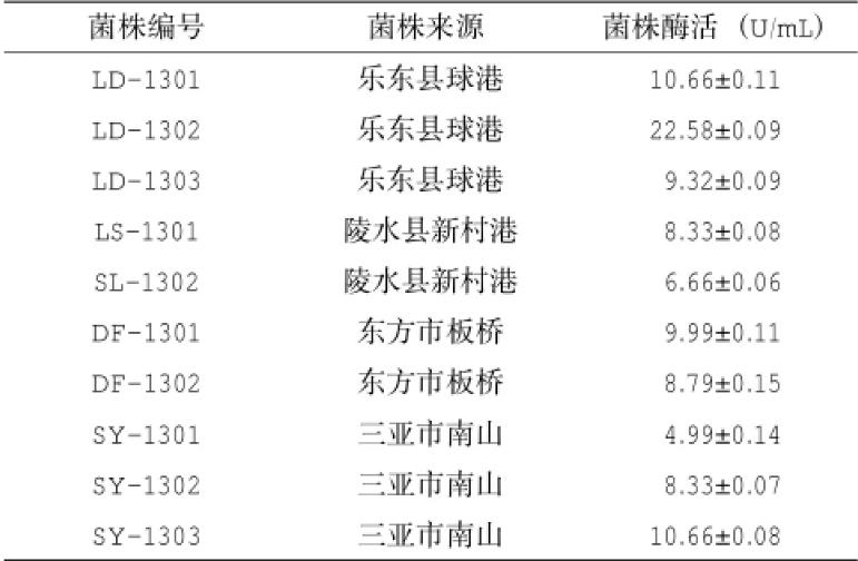 产脂肪酶地衣芽孢杆菌LD-1302筛选、培养基及产酶条件研究（二）