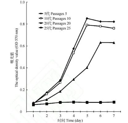 朱鹮细胞系的建立、体外生长特征、性染色体的荧光原位杂交鉴定（二）
