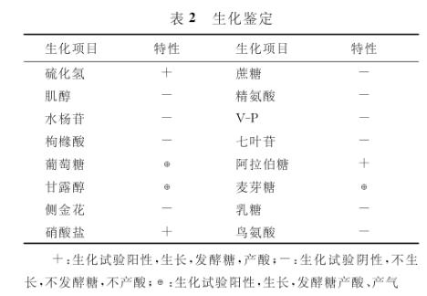 苍鹭养殖如何控制沙门菌??？用什么药好【药敏试验二】