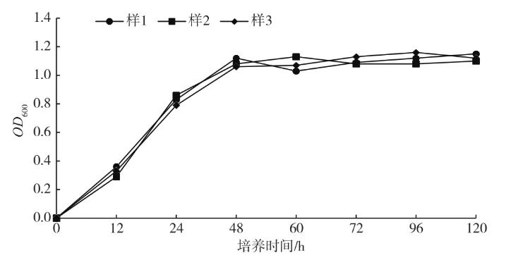 制药废水生化处理过程中硝化菌分离筛选、生长曲线的测定（二）