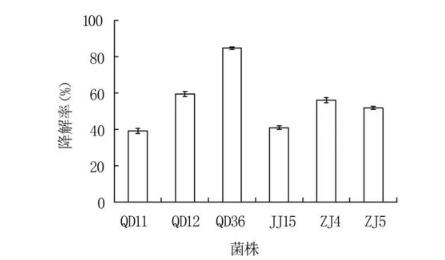 呕吐毒素又叫什么？降解呕吐毒素菌株特征、危害研究