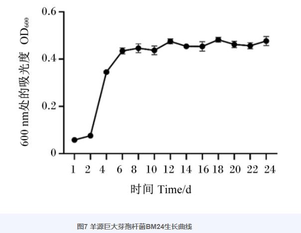 巨大芽孢杆菌BM24生长曲线、耐药性、益生潜力评估及药敏试验（四）