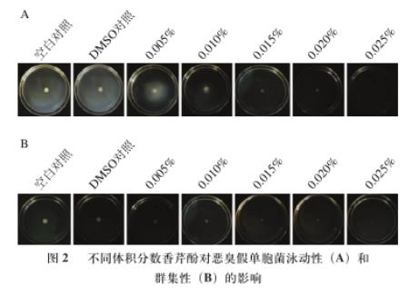 香芹酚对恶臭假单胞菌生长、运动能力、产胞外蛋白酶和生物被膜能力影响（二）