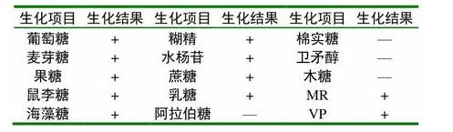 水貂李氏杆菌的分离鉴定、生化试验、药敏实验、毒力试验——材料与方法
