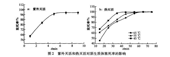 罗尔阿太菌生长曲线、原生质体制备条件及融合技术（三）