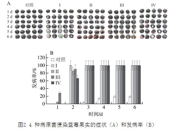 25种天然植物精油对蓝莓致病菌生长曲线、抑制作用（二）