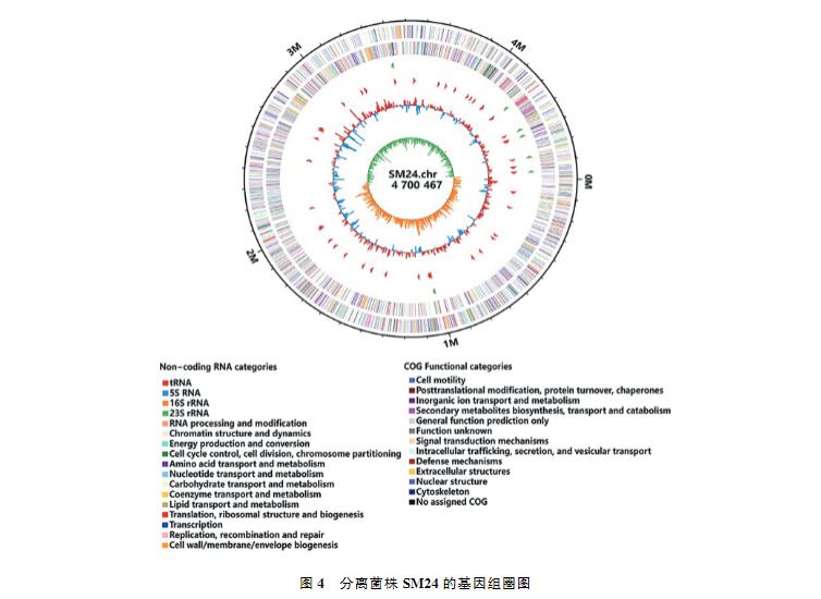 鸡印第安纳株沙门菌生长、致病性及药物敏感性研究（三）