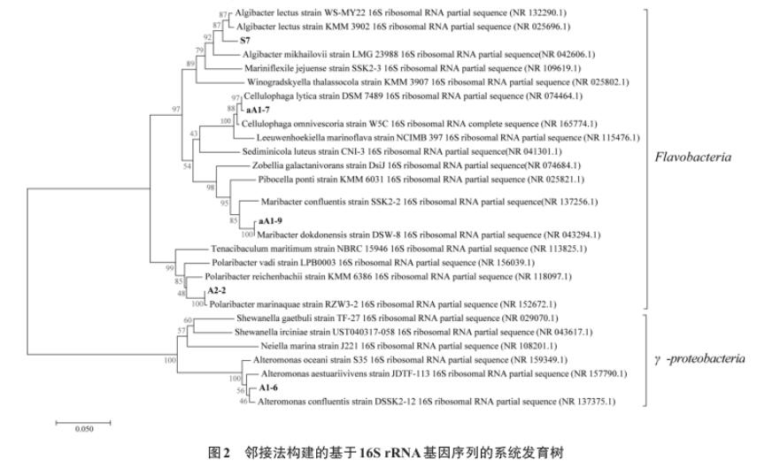 浒苔多糖降解微生物采集、分离、筛选、鉴定及生长曲线测定（二）