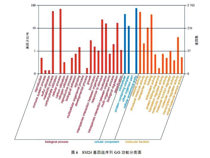 鸡印第安纳株沙门菌生长、致病性及药物敏感性研究（四）