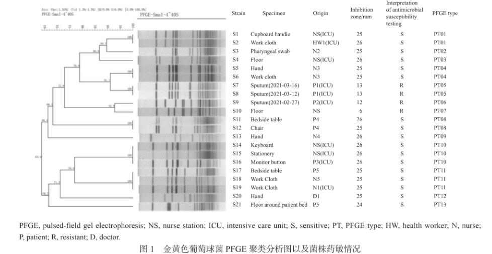 金黄色葡萄球菌PFGE分型、分布特征及药敏情况（二）