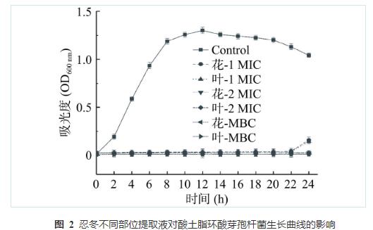 忍冬提取液对酸土脂环酸芽孢杆菌生长曲线、细胞形态和生物膜形成能力的影响（四）