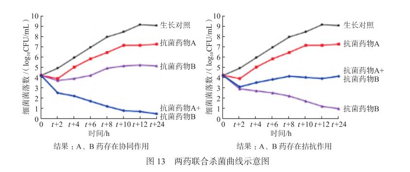 碳青霉烯类耐药革兰阴性菌联合药敏试验方法学、流程、优缺点和结果判读（三）