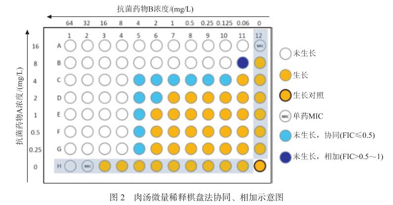 碳青霉烯类耐药革兰阴性菌联合药敏试验方法学、流程、优缺点和结果判读（二）
