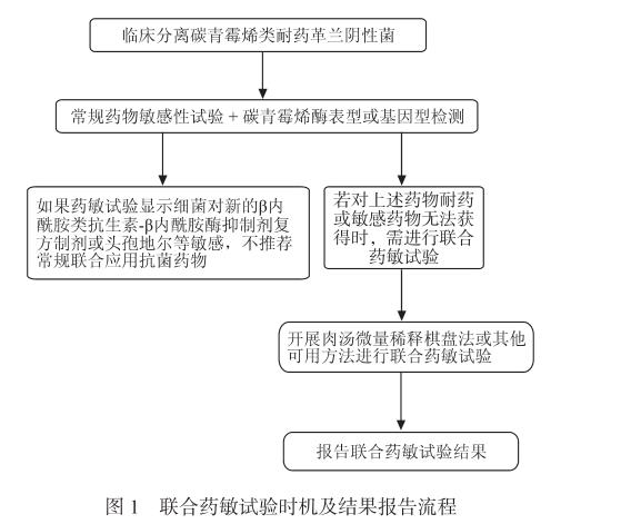 碳青霉烯类耐药革兰阴性菌联合药敏试验方法学、流程、优缺点和结果判读（一）