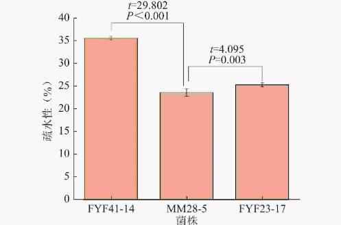 双歧杆菌分离鉴定、耐受性试验、益生特性试验及安全性评价（三）