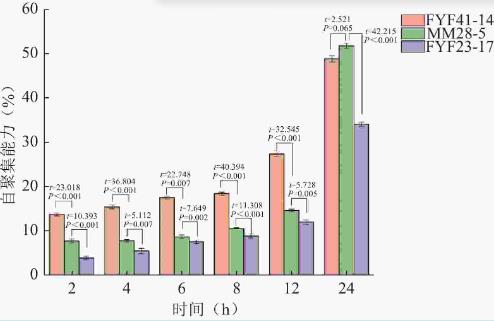 双歧杆菌分离鉴定、耐受性试验、益生特性试验及安全性评价（一）