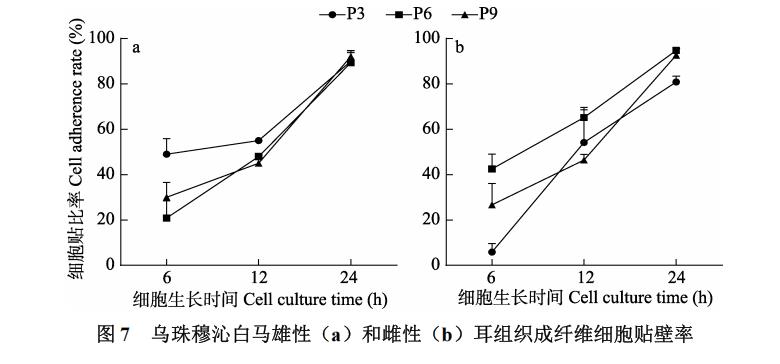 白马耳组织成纤维细胞体外培养、冷冻前及复苏后存活率、生长曲线绘制（三）