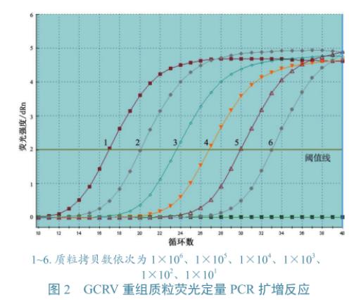 草鱼呼肠孤病毒培养与滴度测定、及在草鱼、CIK细胞上的生长特性研究（三）