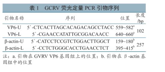 草鱼呼肠孤病毒培养与滴度测定、及在草鱼、CIK细胞上的生长特性研究（一）