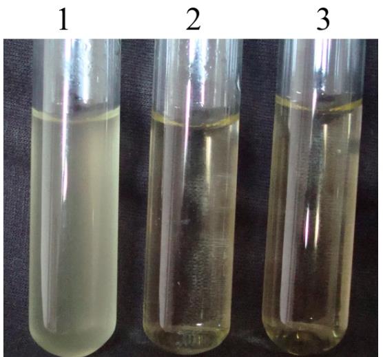 猪传染性胸膜肺炎放线杆菌的致病机制、药物敏感试验结果