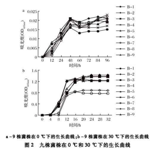 生食大眼金枪鱼中生物胺产生菌分离纯化、菌落总数、生长曲线及形状鉴定（二）