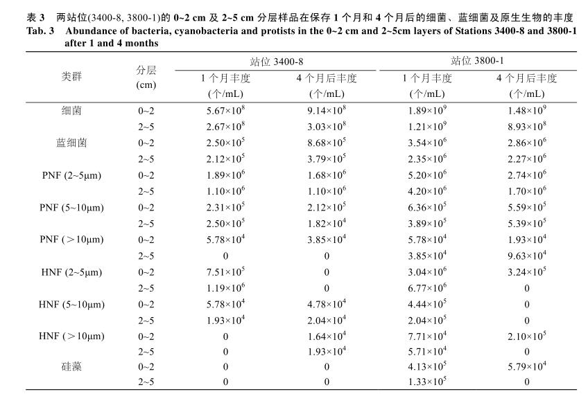 DAPI荧光染色计数法：不同保藏方式时间对海洋微型底栖生物计数结果的影响——结果、结论