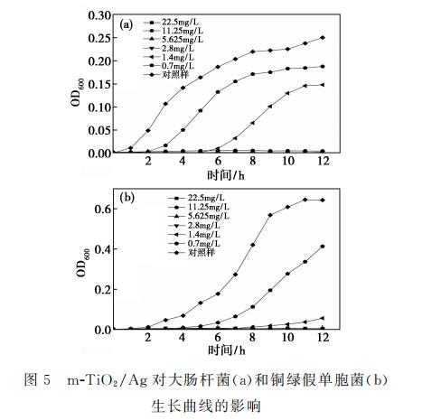 新型纳米复合材料介孔m-TiO?/Ag对大肠杆菌和铜绿假单胞菌生长、抑制作用（三）