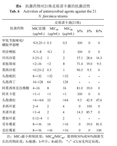 诺卡菌菌株分离、鉴定、抗菌药物敏感性试验——讨论