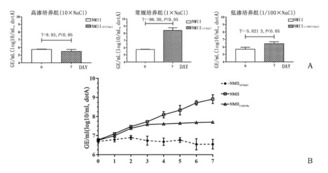 贝氏柯克斯体在高渗脱水环境中的生物学特性研究（一）